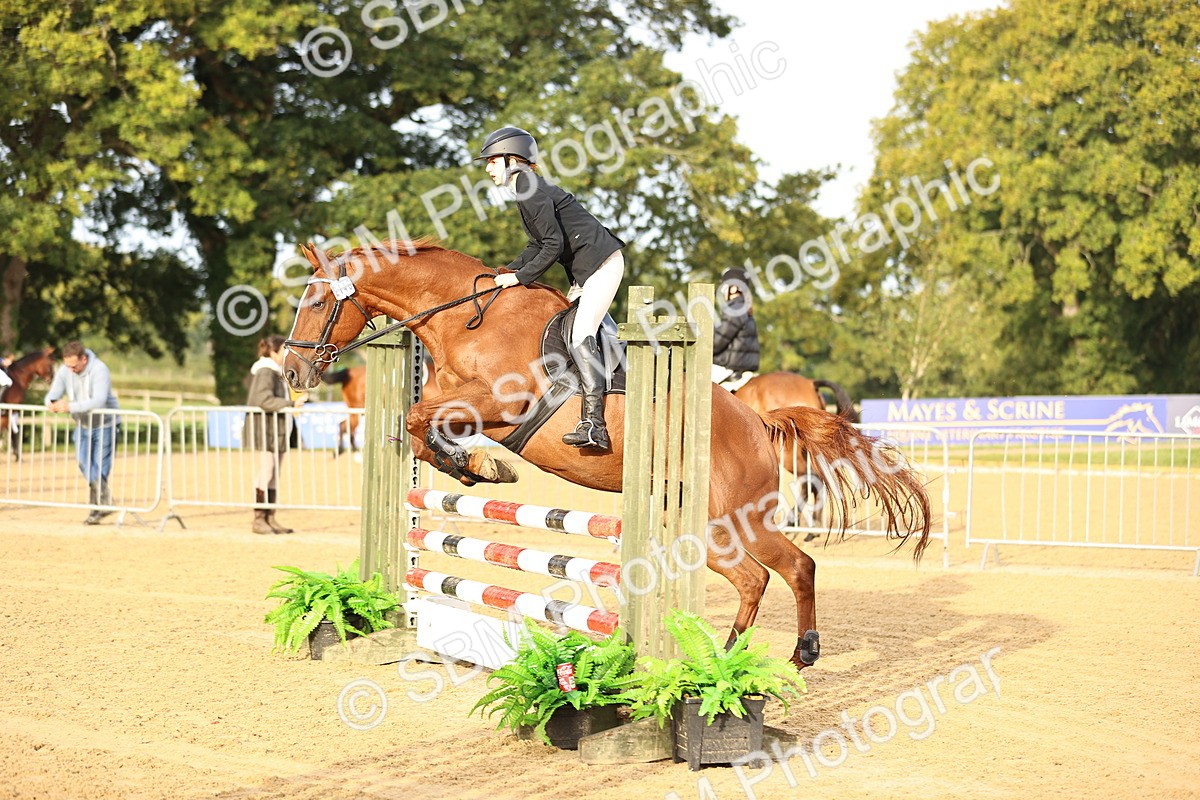 SBM_55114 - J62 - Clear Round 90cm