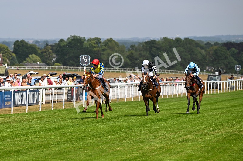 140726-Race 3-Pendella-0345 - Race 3 15.17pm Malcolm Greenslade Doncaster LVA Stalwart Memorial Handicap