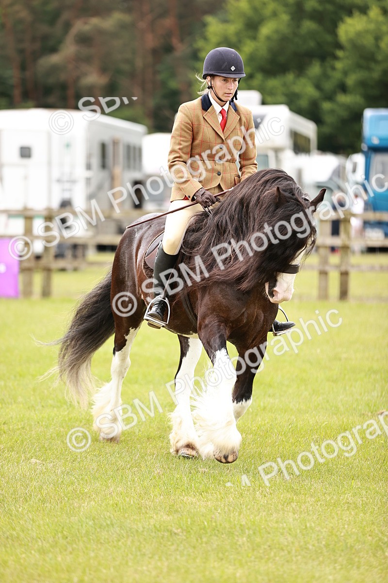 SBM_06141 - Class 39-41 TGCA In Hand and Ridden