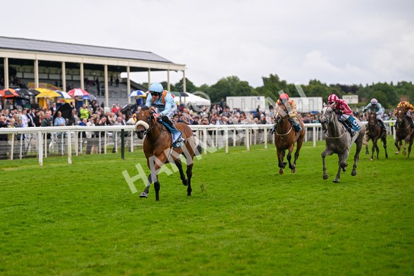 150624-Race 5-The Strikin Viking-7653 - Race 5 4.10pm Reg Griffin Appreciation ebfstallions.com Maiden Stakes
