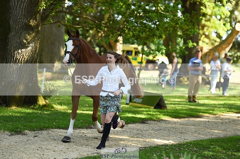 230524-160702-00689 - 208-NICO-Holly_Clarke-WEDTrotUp+DR