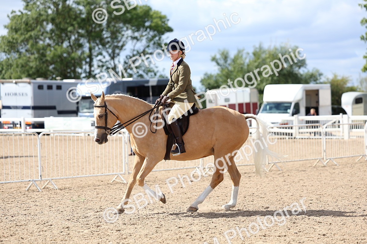 SBM_13290 - Class 311 - Ridden Show Pony Show Hunter Pony