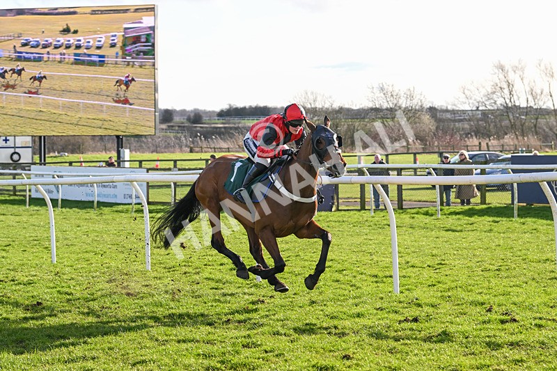 270224-Race 1-Could Be Trouble-2980 - Race 1