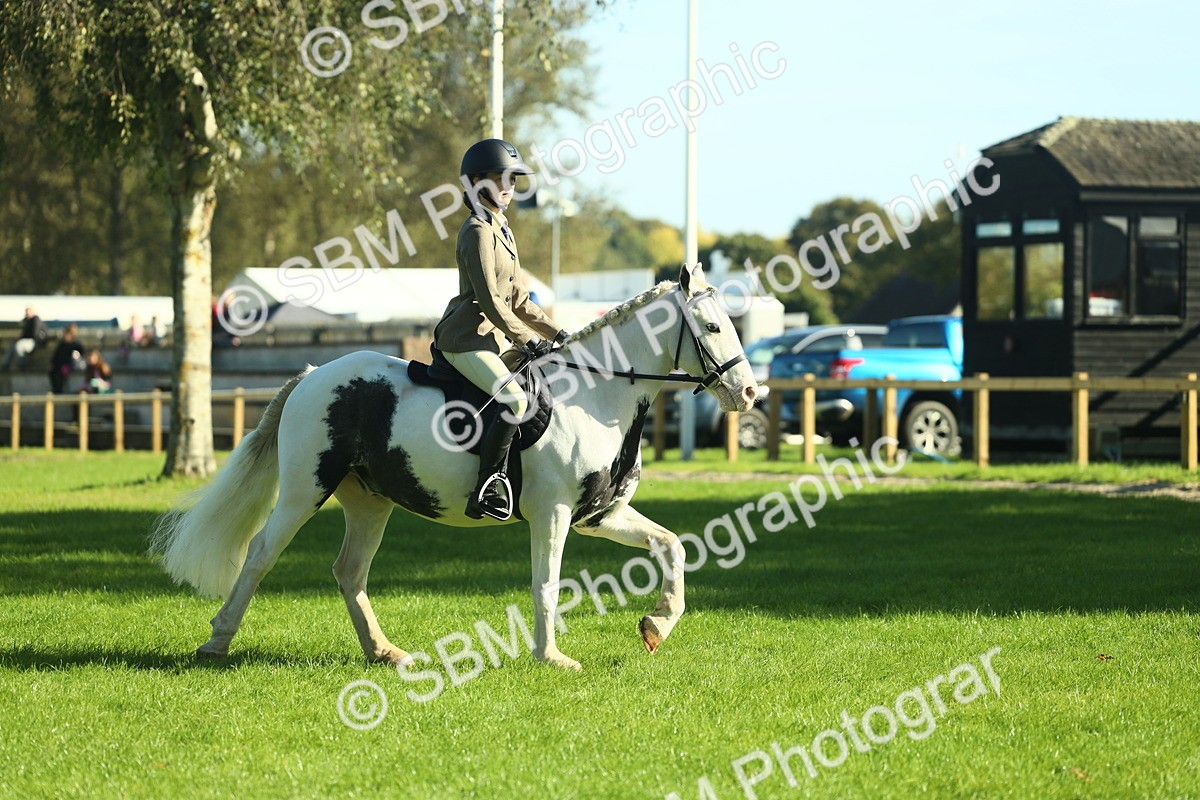 SBM_36433 - S29 - Novice & Newcomers Working Hunter Pony
