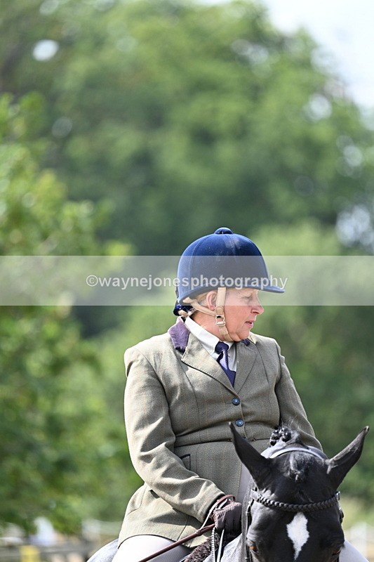 WJ7_6188 - Class 13 Ridden Veterans