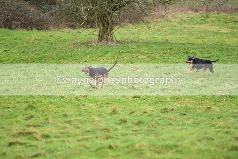 WJ5_4319 - Cam A