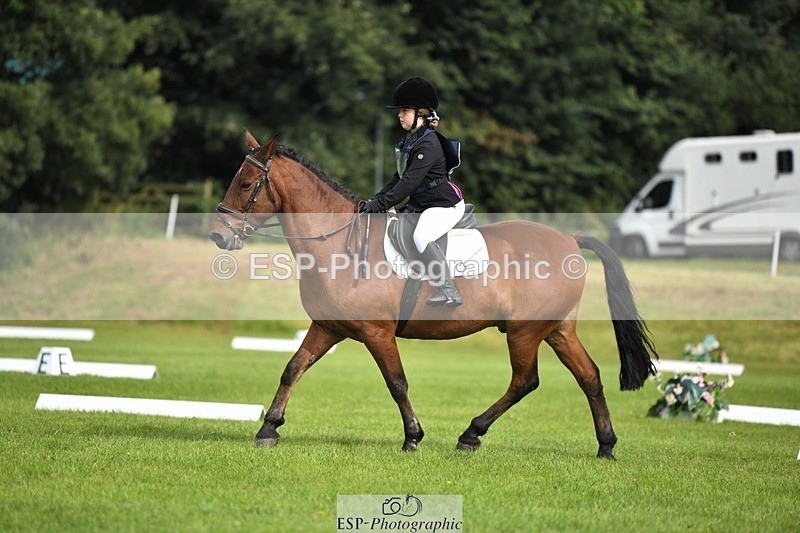 230826-101614-15417 - Sections C & D 10 to End