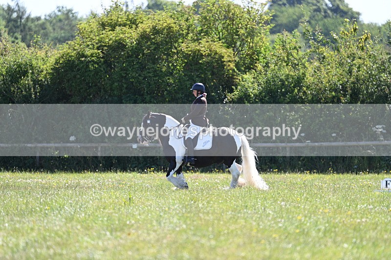 WJ7_8362 - Time 10:04am to 10:19am