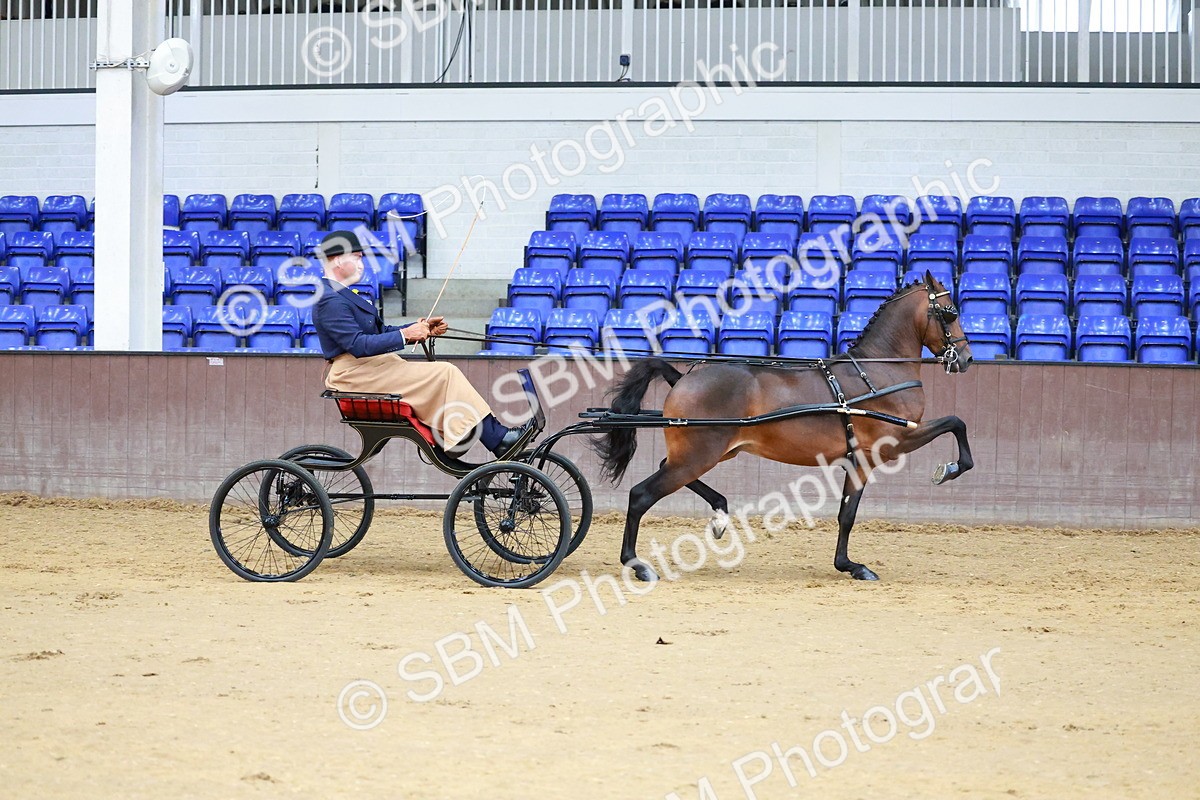 SBM_000626 - Class 9 - HHS Championship Intl Hackney Pony to a Showwagon