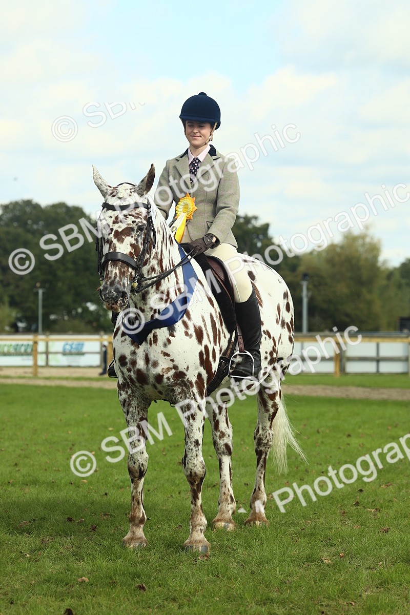 SBM_62536 - S62 - Foreign Breeds Ridden