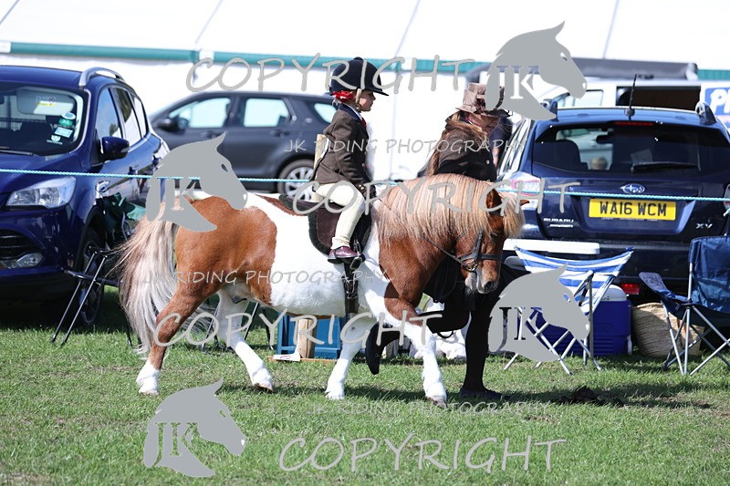 APP_3813 - Class 13 Lead rein