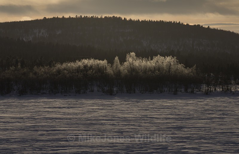 Across a frozen lake in Karesuando, Northern Sweden - FINLAND & SWEDEN LANDSCAPES