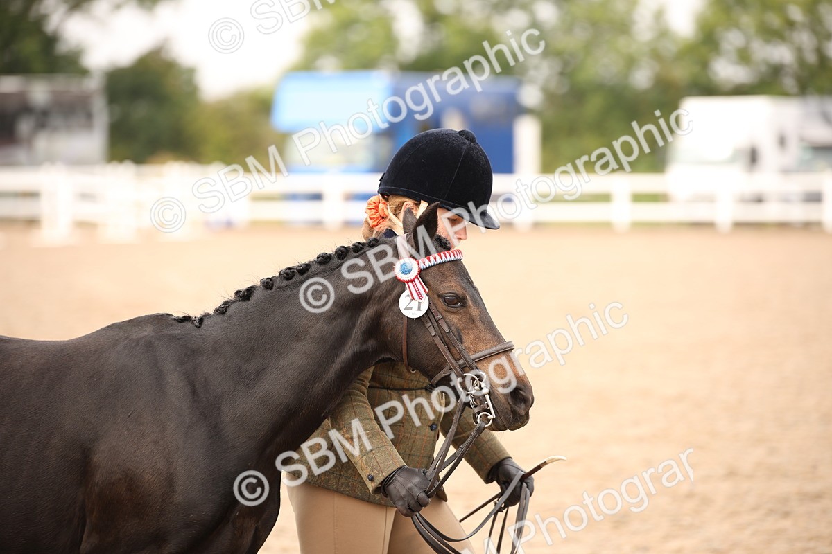 SBM_21481 - Class 706 - IH  Veteran