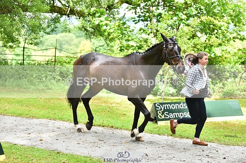 240522-153940-00510 - 372-PENCOS_CROWN_JEWEL-Millie_Juleff