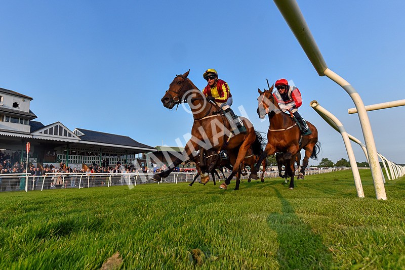 310524-Race 4-Albegone-7587 - Race 4