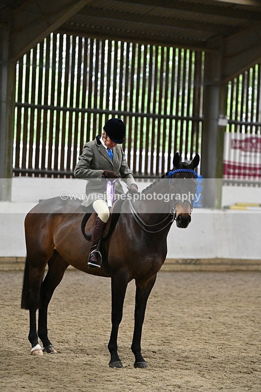 WJ7_4375 - Class 17 Ridden Cob