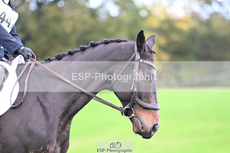 241025-093712-05821 - 442-Bethany.Hall-ZEPHYR.II