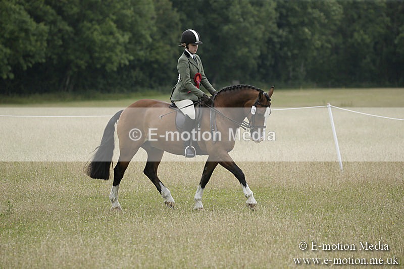B230619-0928 - Bourne Valley Riding Club Summer Show 23/06/19