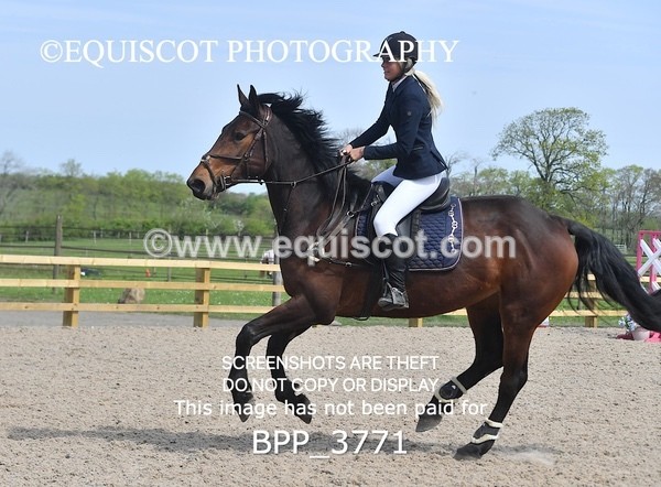 BPP_3771 - CLASS 3 Senior British Novice/ 90cm Open