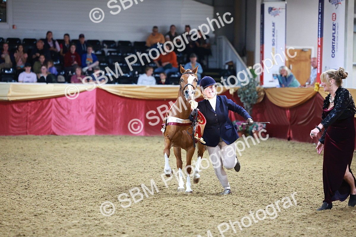 SBM_14935 - Class F - IH Small Champ