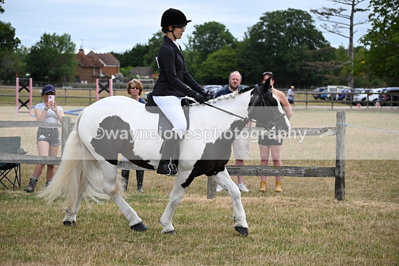 WJ6_3916 - Class 9 Tack & Turnout