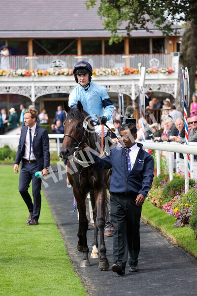 yr18082021r2-32 - Race 2 2.25pm Tattersalls Acomb Stakes