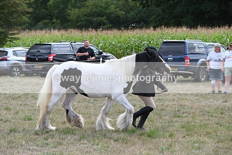 WJ6_6660 - Class 20 In-hand Cob