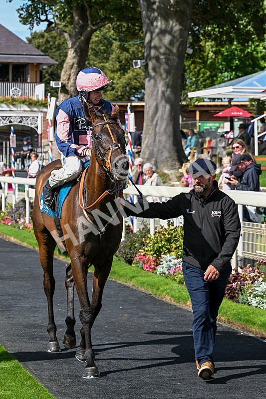 060926-Race 3-Moon Chime-7718 - Race 3 2.40pm Hanson Springs Stayers Handicap