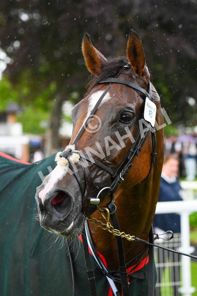 190523-Race 2-Sounds Of Heaven-0388 - Race 2 2.25pm Oaks Farm Stables Fillies' Stakes
