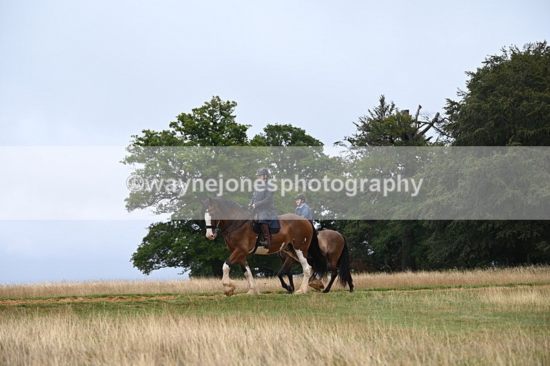 DSC_2009 - Time at Statue 12:13 to 12:32