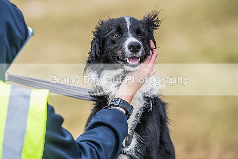 Sedbergh Hills-797 - Sedbergh Hills Fell Race Sunday 16th August 2026