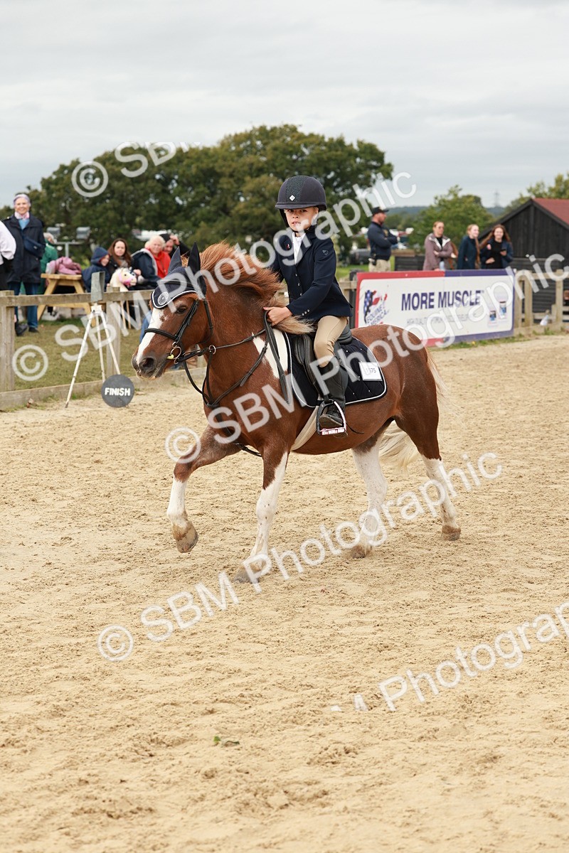 SBM_66970 - J13 - Junior Pony 60cm Championship