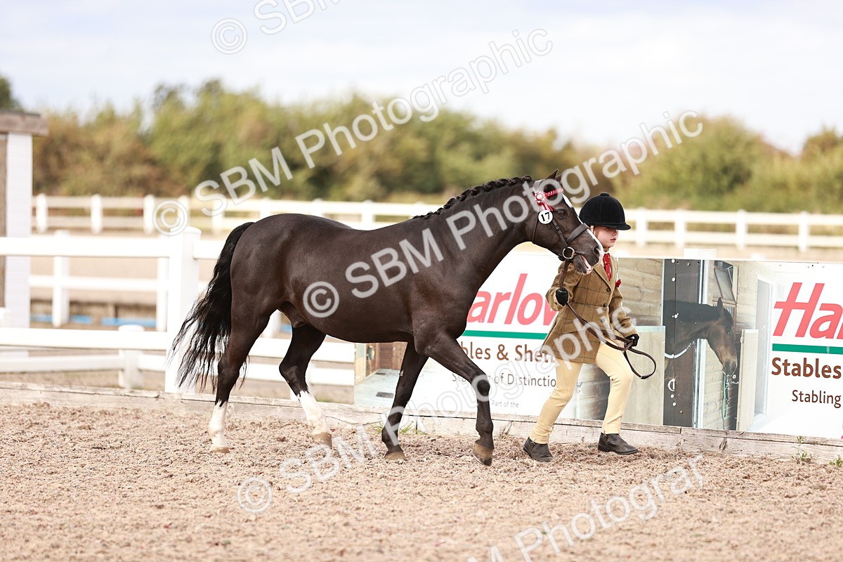 SBM_18360 - Class 418 - Best Condition - Jnr