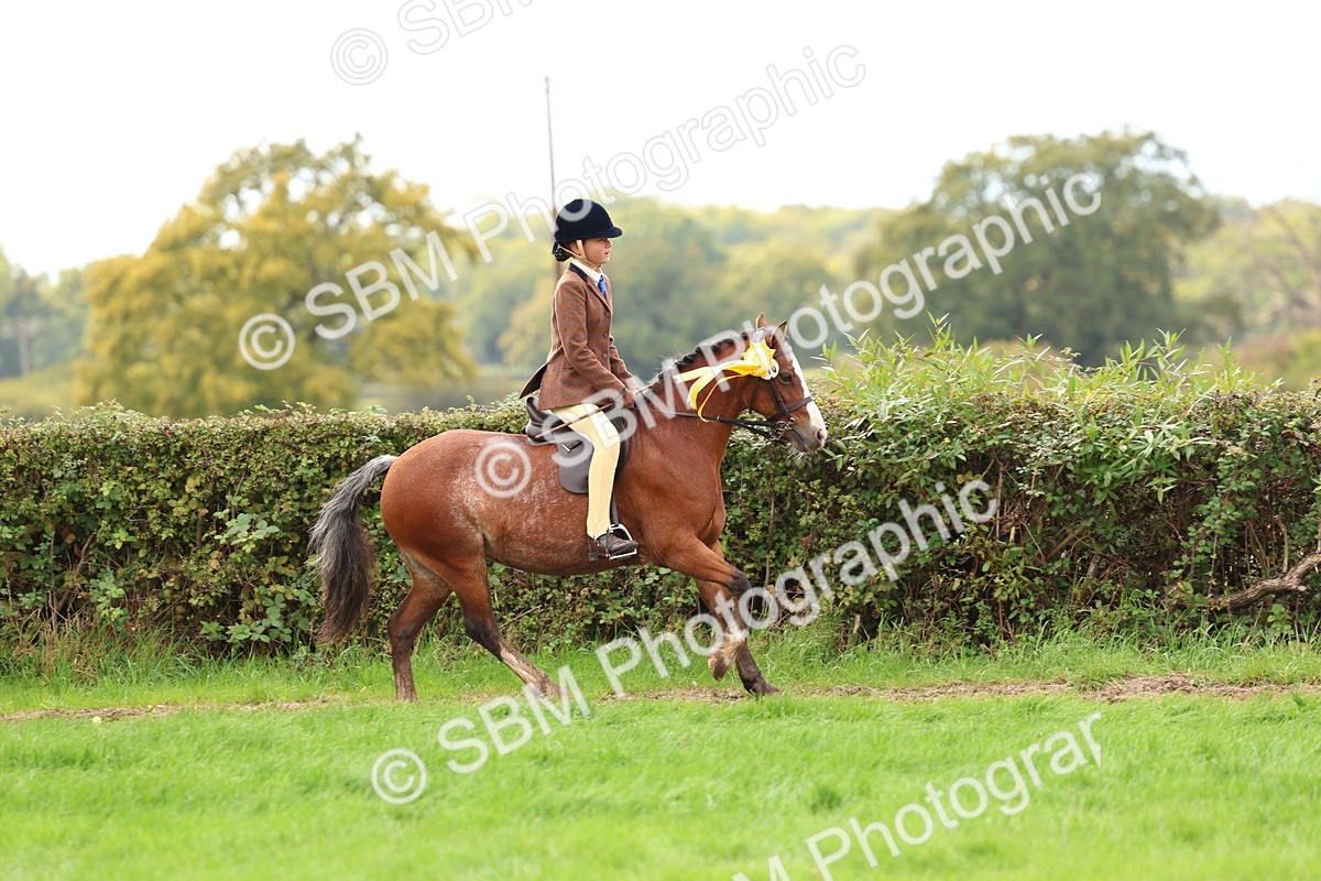 SBM_45149 - S27 - Young Veteran Ridden