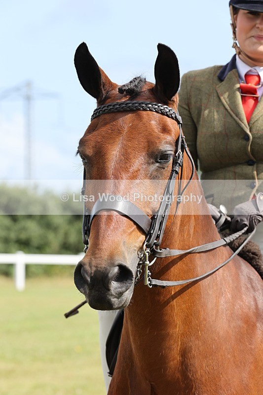 JPP_0965 - Class 16: Cornish Combination Young Rider