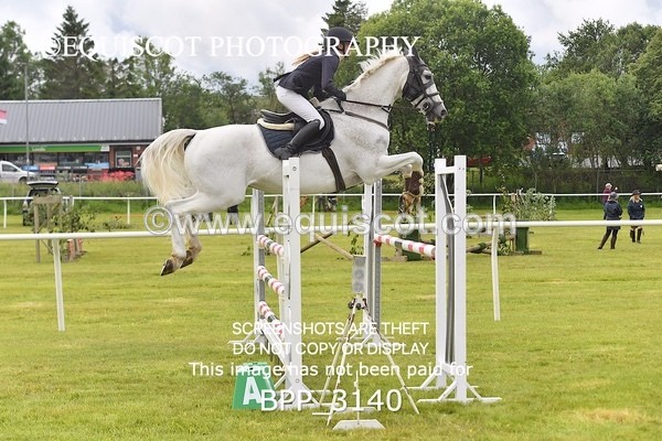 BPP_3140 - CLASS 2 SENIOR FOX/1.20M OPEN