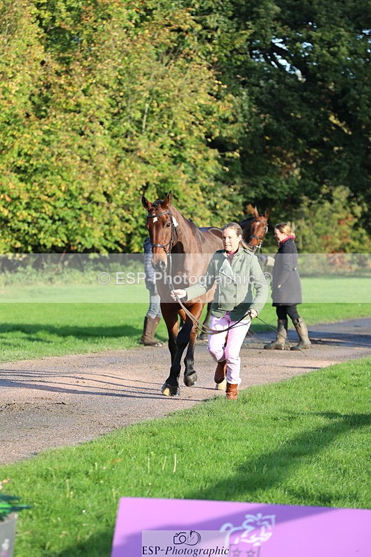 251026A-095025-22517 - D-312-Laura.Sharpe