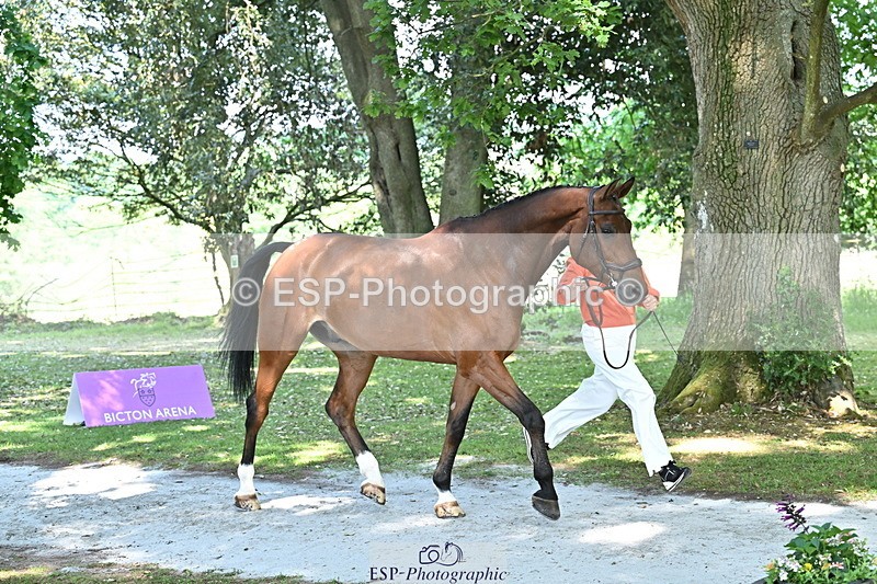 250521A-153611-00626 - B-369-Ali.Wilkes-ROCK.THE.CASPAR