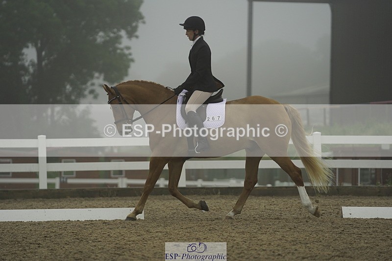 230708A-150110-03962 - Prelim 18