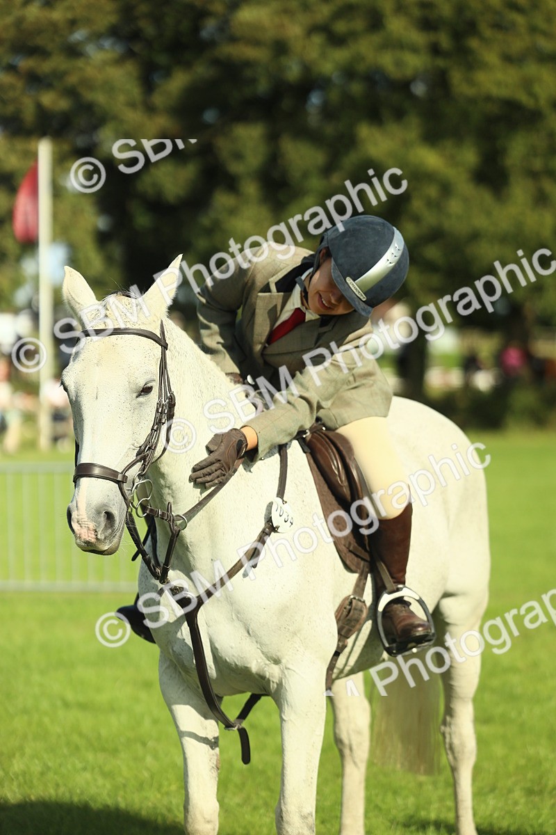 SBM_49862 - S32 - Novice & Newcomers Working Hunter