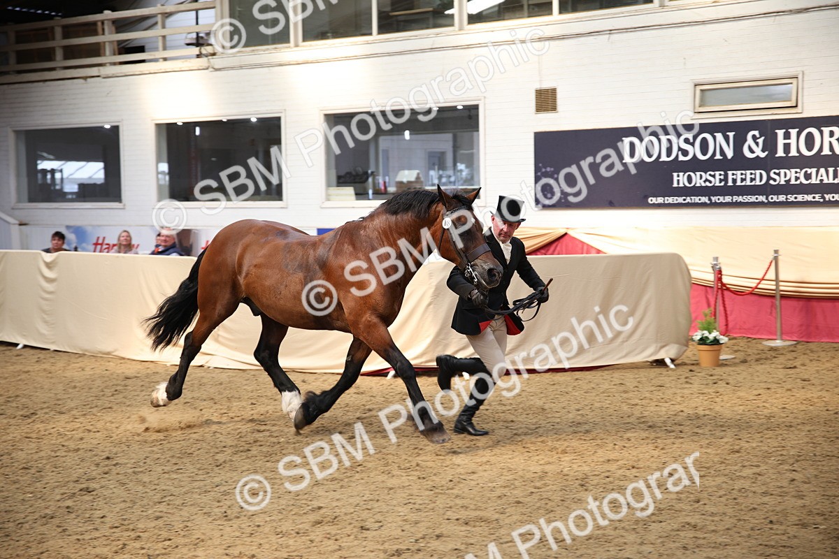 SBM_24736 - Class 906 - Supreme Final - Ridden Pre Vet