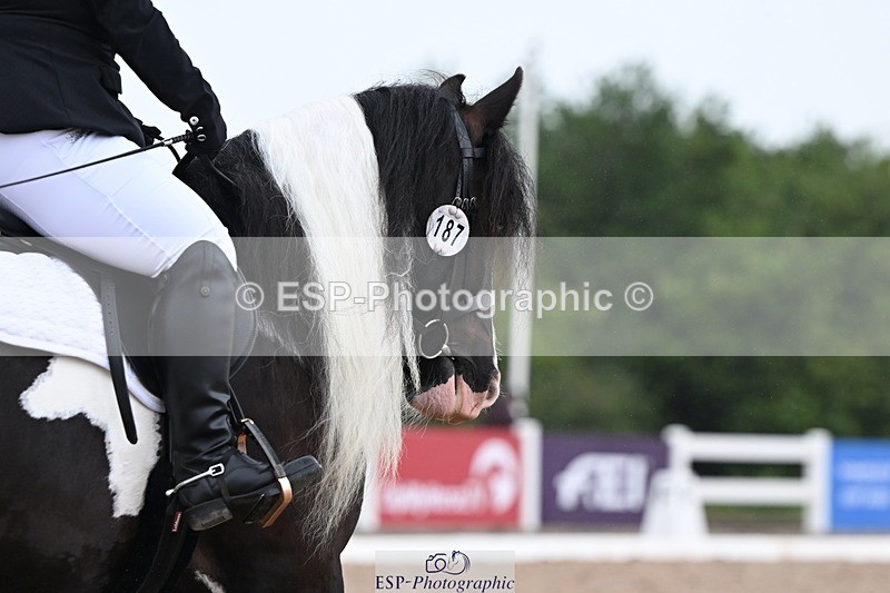 250705-150818-02102 - P3 Sections BDP3SNR, BDP3JNR 12.46 to 13.35