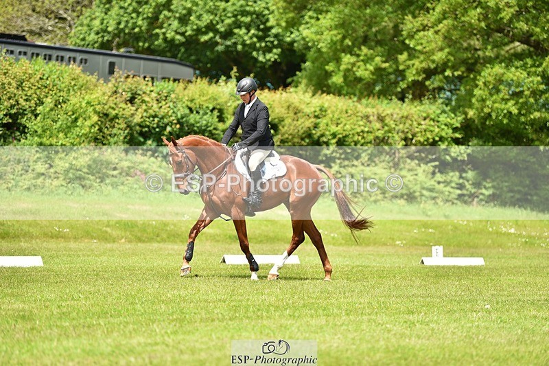 240523B-130854-02323 - 5 Year Old