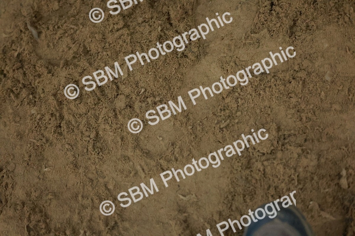 SBM_007547 - Class 8 - 1.10m