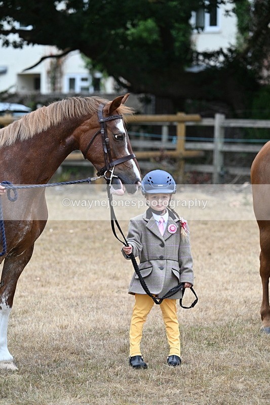 WJ7_8128 - Class 4 Prettiest Mare up to 14.2hh