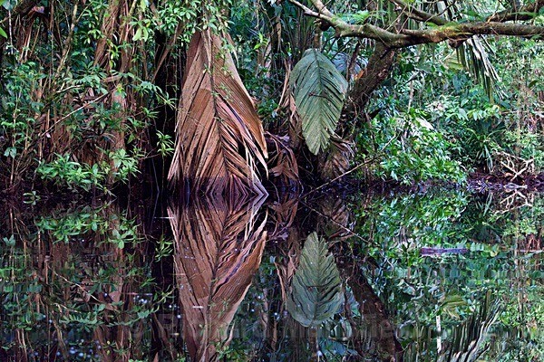  - Costa Rica