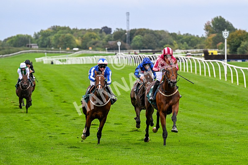 011025-Race 3-Real American-0240 - Race 3