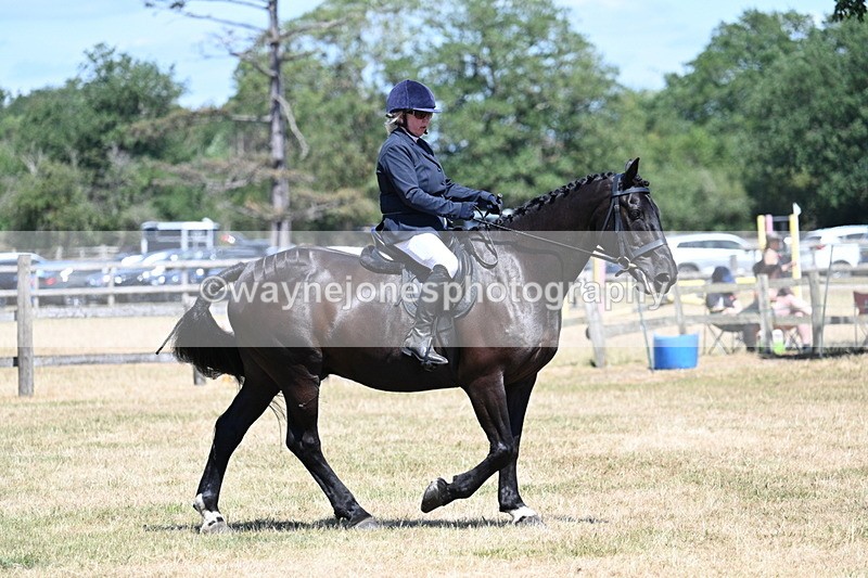 WJ7_2975 - Class 7 Riding Club Show Horse