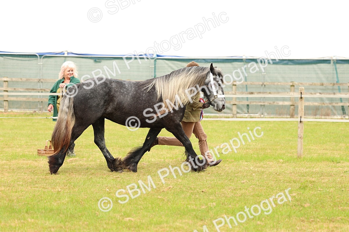 SBM_03570 - Class 58-67 - M&M Non Welsh Pony In hand