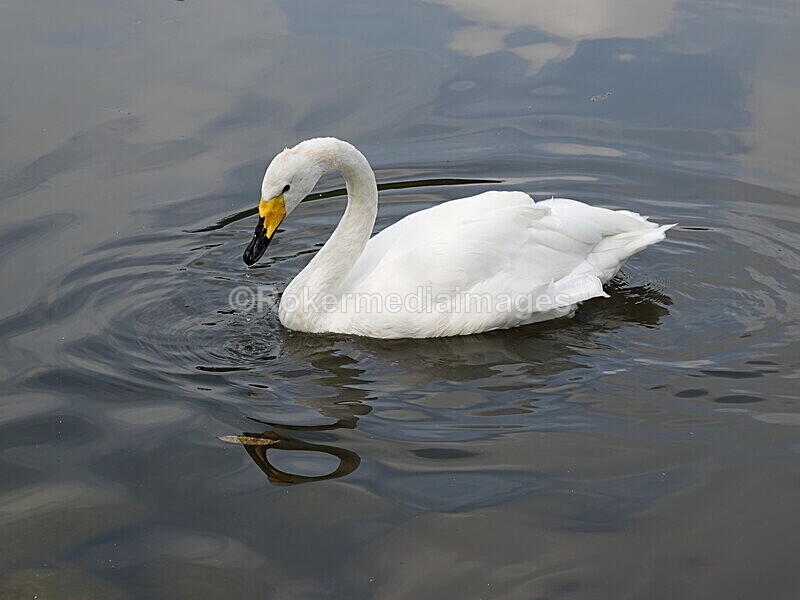 CHINA__0118 - China 2019